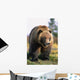 Brown Bear Standing Wall Mural