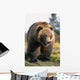 Brown Bear Standing Wall Mural