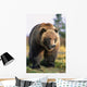 Brown Bear Standing Wall Mural
