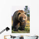 Brown Bear Standing Wall Mural