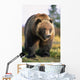 Brown Bear Standing Wall Mural