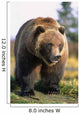 Brown Bear Standing Wall Mural