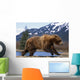 Young Grizzly Bear Running At The Alaska Wildlife Conservation Center Wall Mural