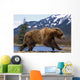 Young Grizzly Bear Running At The Alaska Wildlife Conservation Center Wall Mural