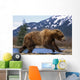 Young Grizzly Bear Running At The Alaska Wildlife Conservation Center Wall Mural