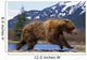 Young Grizzly Bear Running At The Alaska Wildlife Conservation Center Wall Mural