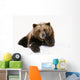 Grizzly Resting Head On Paw While Laying In Snow Wall Mural