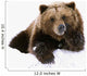 Grizzly Resting Head On Paw While Laying In Snow Wall Mural