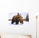 Captive Brown Bear Walks In Snow During Winter Wall Mural