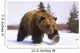Captive Brown Bear Walks In Snow During Winter Wall Mural
