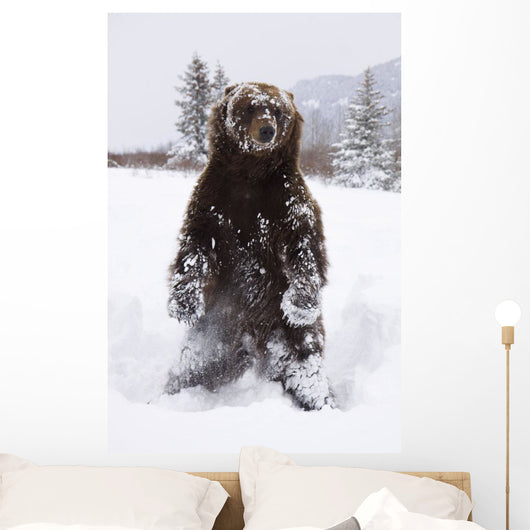 Captive Wall Mural