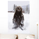 Captive Wall Mural