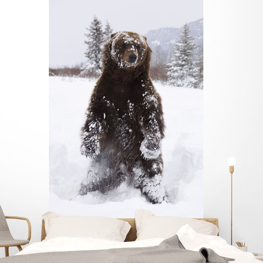 Captive Wall Mural