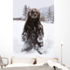 Captive Wall Mural