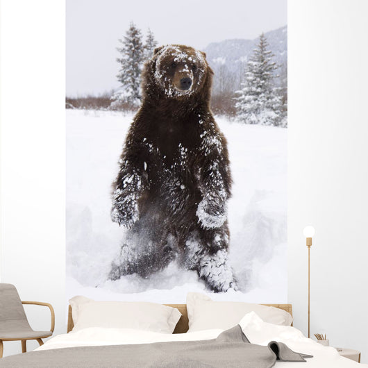 Captive Wall Mural