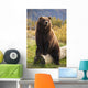 Captive Wall Mural