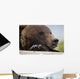 Captive Grizzly Bear Rests Its Head On A Log Wall Mural