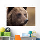 Captive Wall Mural