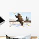Captive Grizzly Plays With Pumpkins By Throwing Them Wall Mural