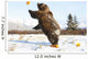 Captive Grizzly Plays With Pumpkins By Throwing Them Wall Mural