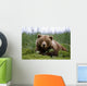 Brown Bear Laying In Grass Wall Mural