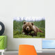 Brown Bear Laying In Grass Wall Mural