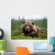Brown Bear Laying In Grass Wall Mural