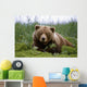 Brown Bear Laying In Grass Wall Mural