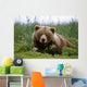 Brown Bear Laying In Grass Wall Mural