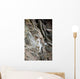 A Curious Full-Curled Dall Sheep Ram Perches Wall Mural