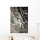 A Curious Full-Curled Dall Sheep Ram Perches Wall Mural