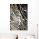 A Curious Full-Curled Dall Sheep Ram Perches Wall Mural