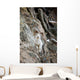 A Curious Full-Curled Dall Sheep Ram Perches Wall Mural