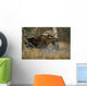 Bull Moose Runs Through Water Spashling Captive Ak Sc Autumn Wall Mural