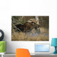 Bull Moose Runs Through Water Spashling Captive Ak Sc Autumn Wall Mural