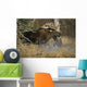 Bull Moose Runs Through Water Spashling Captive Ak Sc Autumn Wall Mural