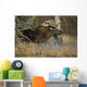 Bull Moose Runs Through Water Spashling Captive Ak Sc Autumn Wall Mural