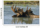 Bull Moose In Deep Pond Captive Sc Alaska Summer Wall Mural