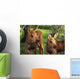 Close Up Of Two Captive Moose Calves Wall Mural