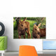 Close Up Of Two Captive Moose Calves Wall Mural