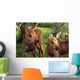 Close Up Of Two Captive Moose Calves Wall Mural