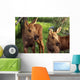 Close Up Of Two Captive Moose Calves Wall Mural