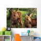 Close Up Of Two Captive Moose Calves Wall Mural