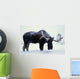 Captive Bull Moose Foraging For Food Wall Mural