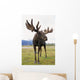 Captive Bull Moose Wall Mural