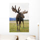 Captive Bull Moose Wall Mural