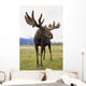 Captive Bull Moose Wall Mural