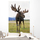 Captive Bull Moose Wall Mural