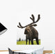 Close Up Of Young Bull Moose Wall Mural