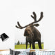 Close Up Of Young Bull Moose Wall Mural
